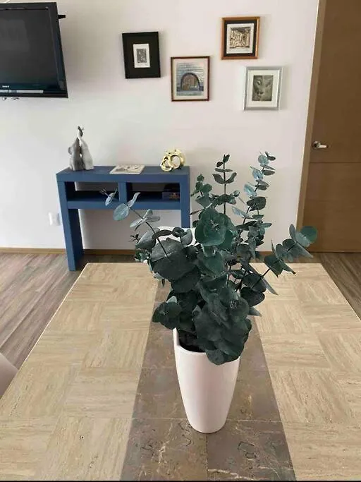 Appartamento Brand New Stylish, Chapultepec, Gym,100Mb Internet Guadalajara Messico